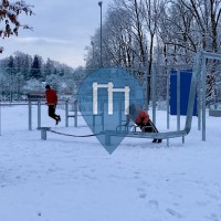 Outdoor Gym - Wangen im Allgäu - Sportpark Wangen Calisthenics-Park